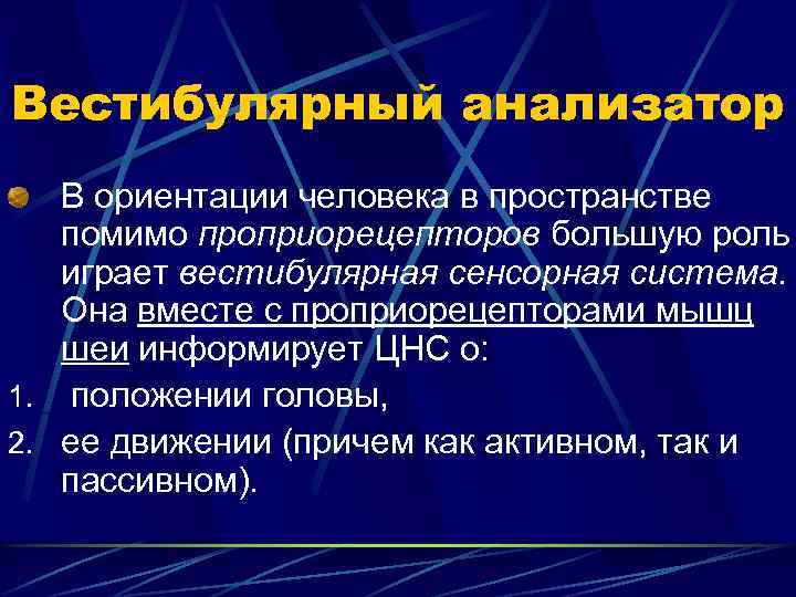 Вестибулярный анализатор В ориентации человека в пространстве помимо проприорецепторов большую роль играет вестибулярная сенсорная