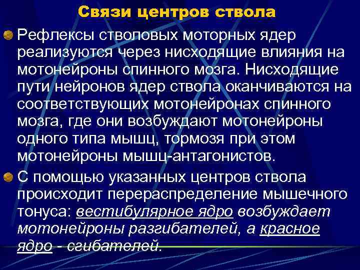 Связи центров ствола Рефлексы стволовых моторных ядер реализуются через нисходящие влияния на мотонейроны спинного
