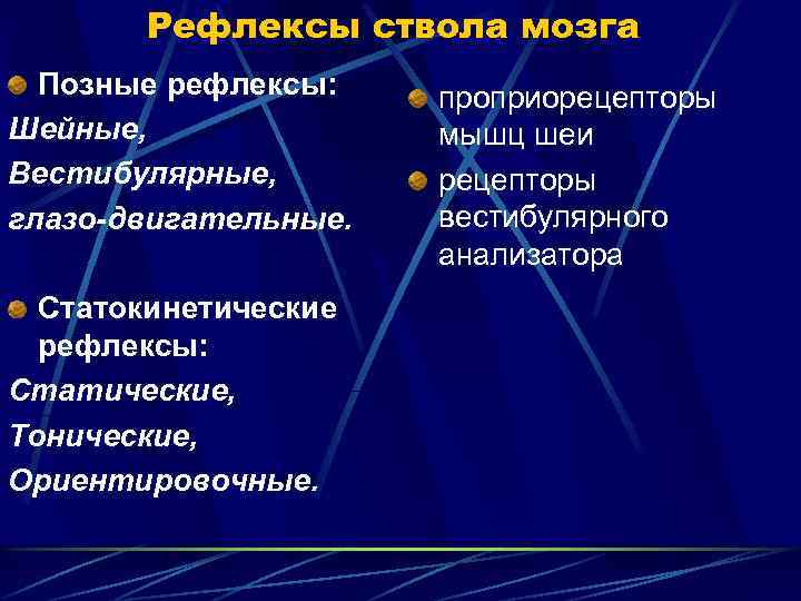 Рефлексы ствола мозга Позные рефлексы: Шейные, Вестибулярные, глазо-двигательные. Статокинетические рефлексы: Статические, Тонические, Ориентировочные. проприорецепторы