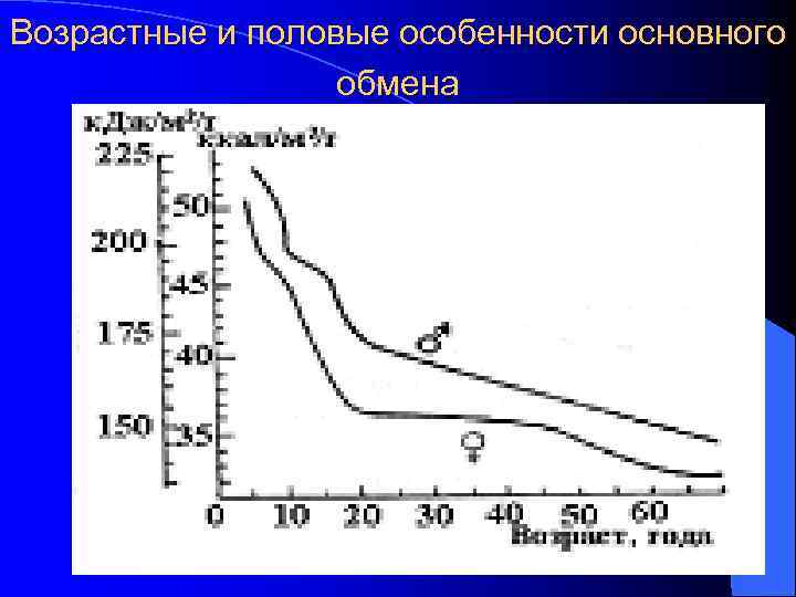 Возрастные и половые особенности основного обмена 