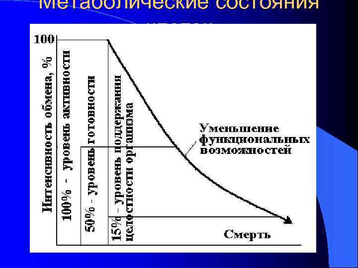 Метаболические состояния клеток 