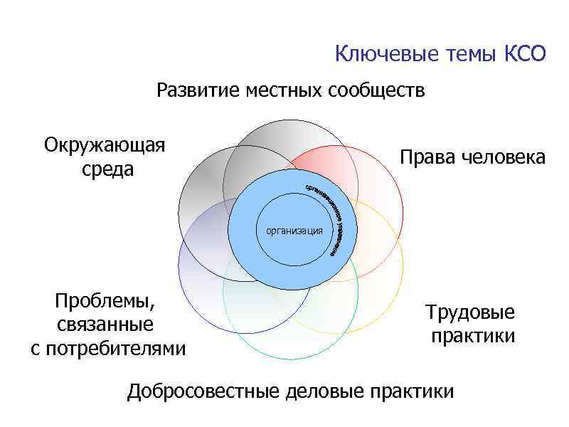 Ключевые темы КСО Развитие местных сообществ Окружающая среда Права человека организация Проблемы, связанные с