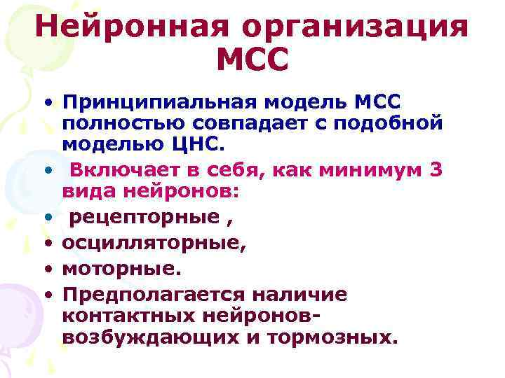 Нейронная организация МСС • Принципиальная модель МСС полностью совпадает с подобной моделью ЦНС. •