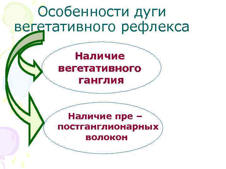 Особенности дуги вегетативного рефлекса Наличие вегетативного ганглия Наличие пре – постганглионарных волокон 