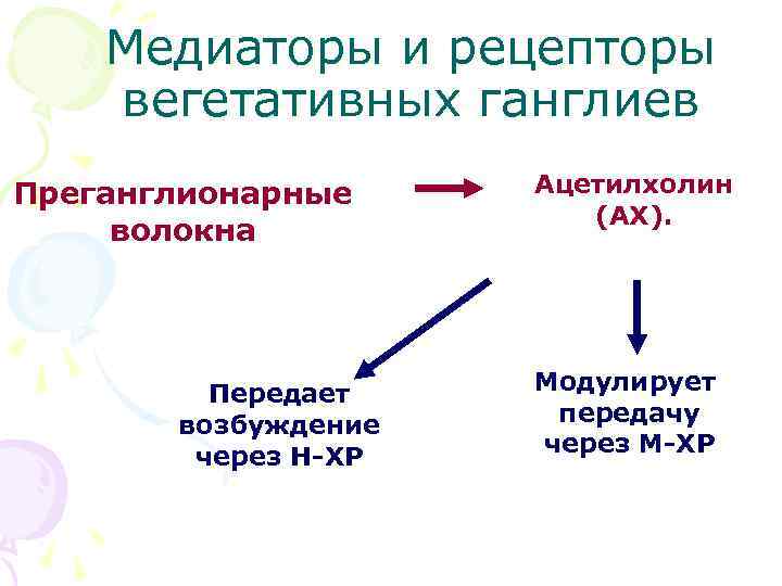 Медиаторы и рецепторы вегетативных ганглиев Преганглионарные волокна Передает возбуждение через Н-ХР Ацетилхолин (АХ). Модулирует