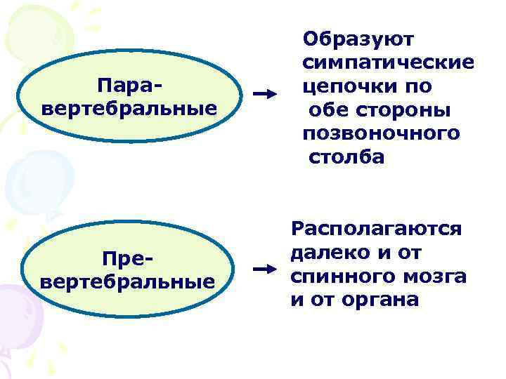 Паравертебральные Превертебральные Образуют симпатические цепочки по обе стороны позвоночного столба Располагаются далеко и от