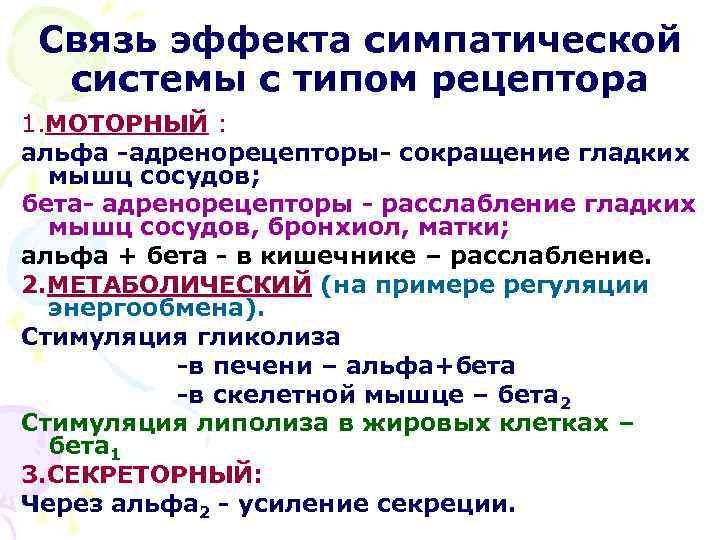 Связь эффекта симпатической системы с типом рецептора 1. МОТОРНЫЙ : альфа -адренорецепторы- сокращение гладких