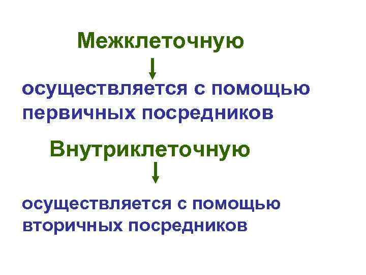 Межклеточную осуществляется с помощью первичных посредников Внутриклеточную осуществляется с помощью вторичных посредников 