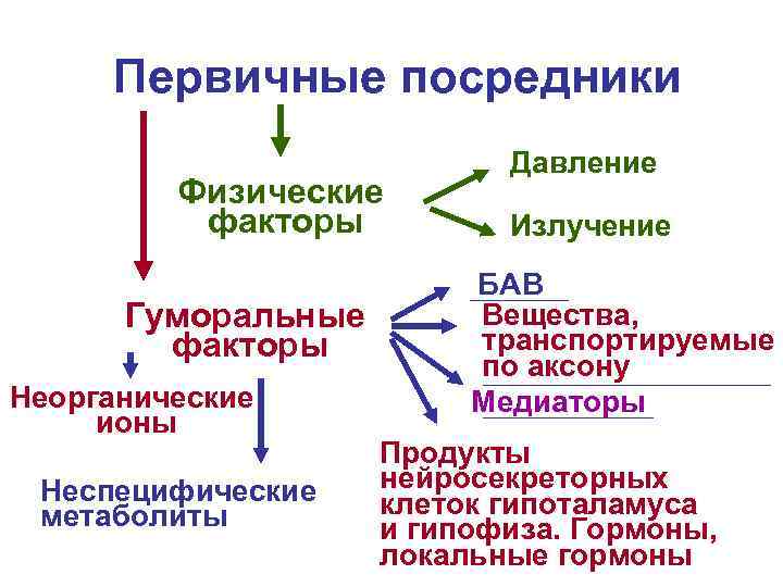 Первичные посредники Физические факторы Гуморальные факторы Неорганические ионы Неспецифические метаболиты Давление Излучение БАВ Вещества,