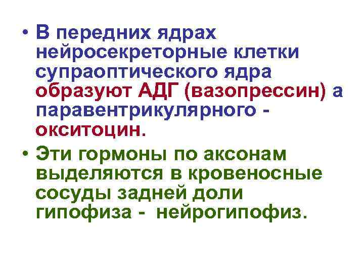  • В передних ядрах нейросекреторные клетки супраоптического ядра образуют АДГ (вазопрессин) а паравентрикулярного