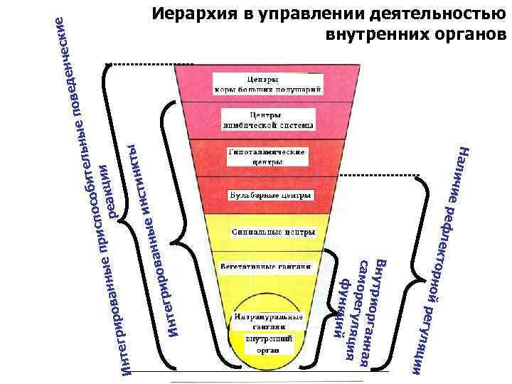 Интег ты тинк нс ые и анн ров егри Инт о ии йр егуля