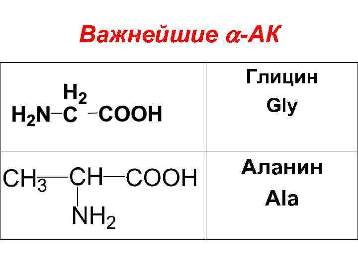 Важнейшие -АК Глицин Gly Аланин Ala 