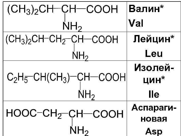 Валин* Val Лейцин* Leu Изолейцин* Ile Аспарагиновая Asp 