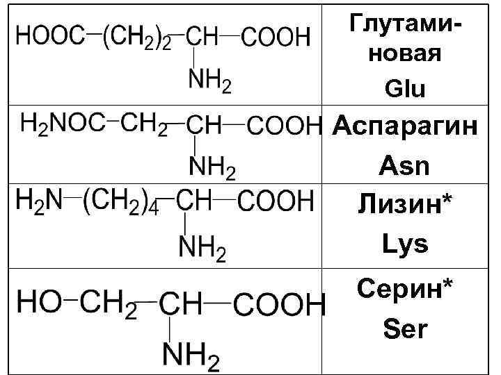 Глутаминовая Glu Аспарагин Asn Лизин* Lys Серин* Ser 