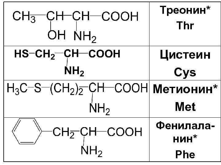 Треонин* Thr Цистеин Cys Метионин* Met Фенилаланин* Phe 