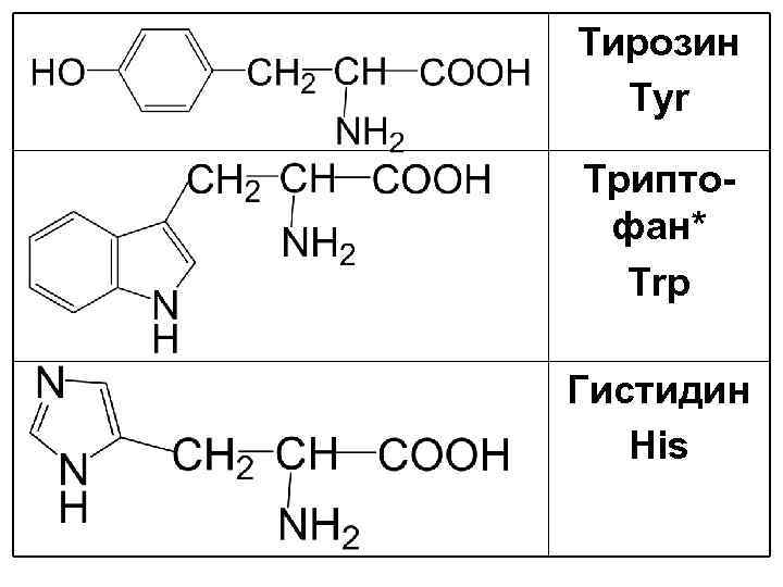 Тирозин Tyr Триптофан* Trp Гистидин His 