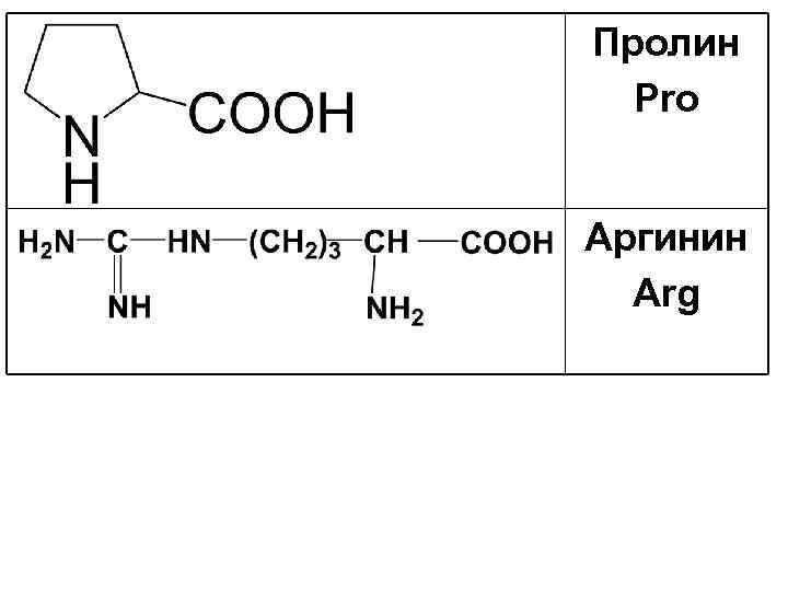 Пролин Pro Аргинин Arg 