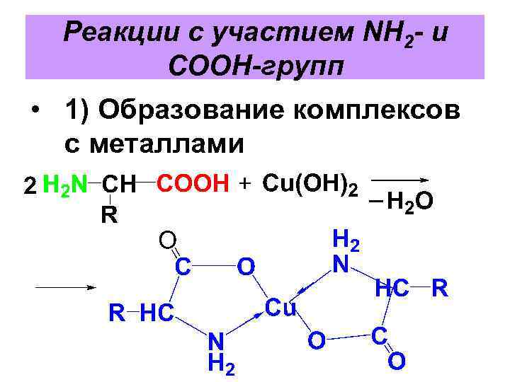 Реакции с участием NH 2 - и COOH-групп • 1) Образование комплексов с металлами