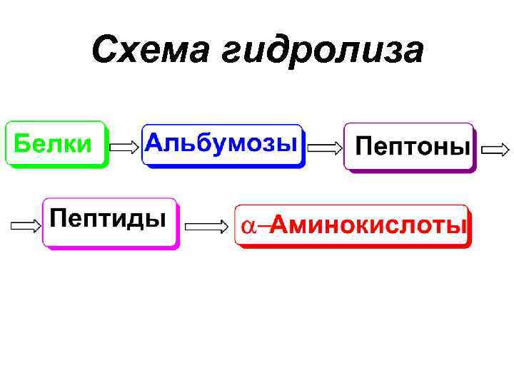 Схема гидролиза 