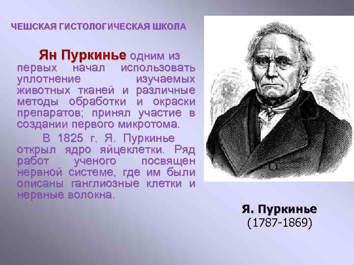 ЧЕШСКАЯ ГИСТОЛОГИЧЕСКАЯ ШКОЛА Ян Пуркинье одним из первых начал использовать уплотнение изучаемых животных тканей