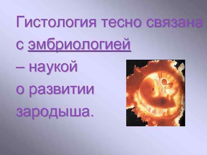 Гистология тесно связана с эмбриологией – наукой о развитии зародыша. 