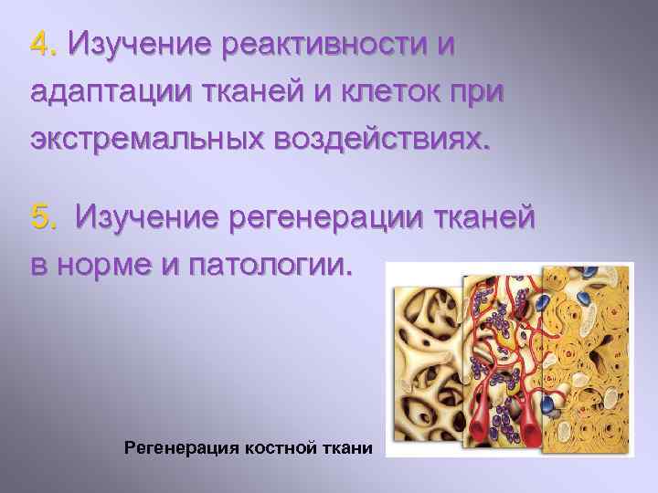 4. Изучение реактивности и адаптации тканей и клеток при экстремальных воздействиях. 5. Изучение регенерации