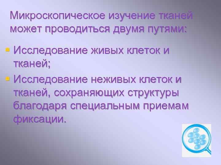 Микроскопическое изучение тканей может проводиться двумя путями: § Исследование живых клеток и тканей; §