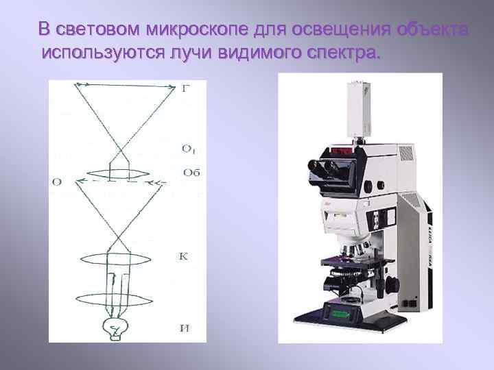 В световом микроскопе для освещения объекта используются лучи видимого спектра. 