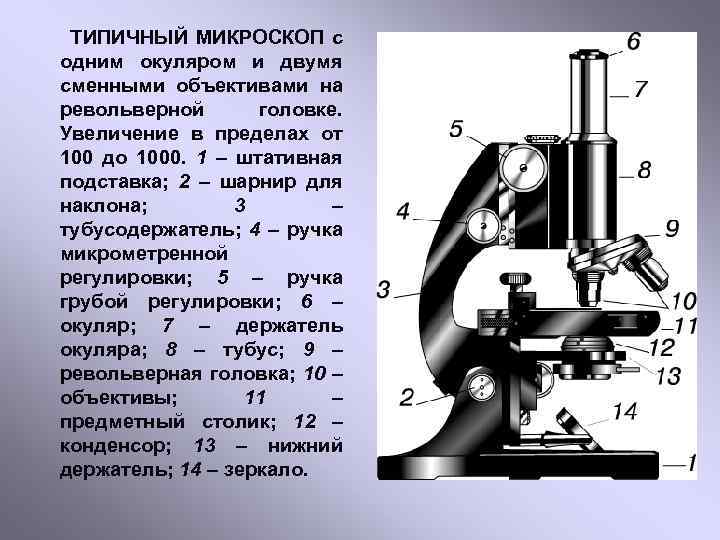 Какую часть работы выполняет окуляр. Малый инструментальный микроскоп ММИ-2. Микроскоп сбоку Советский. Строение микроскопа макровинт. Строение микроскопа тубусодержатель.