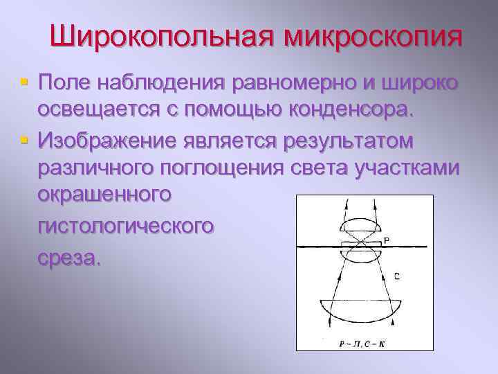 Широкопольная микроскопия § Поле наблюдения равномерно и широко освещается с помощью конденсора. § Изображение