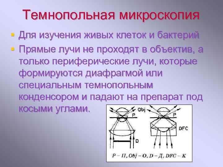 Темнопольная микроскопия § Для изучения живых клеток и бактерий § Прямые лучи не проходят