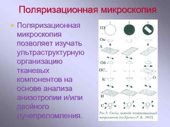 Поляризационная микроскопия