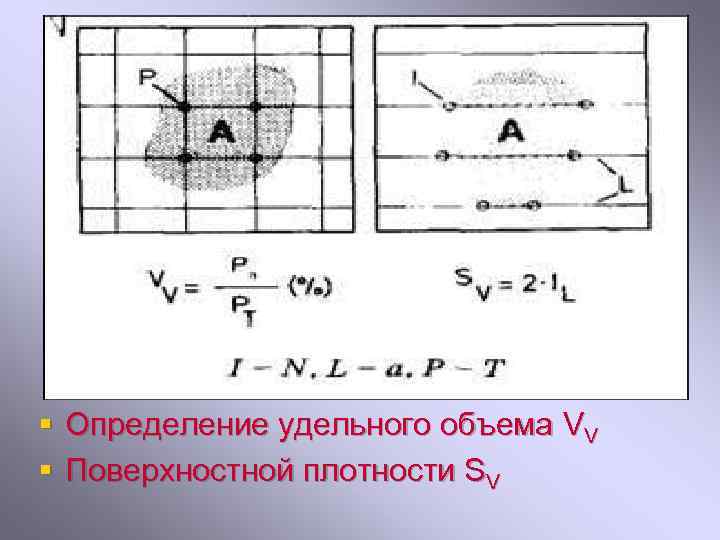 § Определение удельного объема VV § Поверхностной плотности SV 