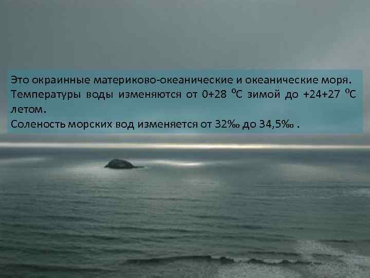 Это окраинные материково-океанические и океанические моря. Температуры воды изменяются от 0+28 ⁰С зимой до