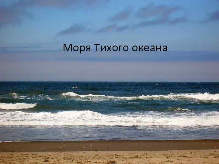 Моря Тихого океана 