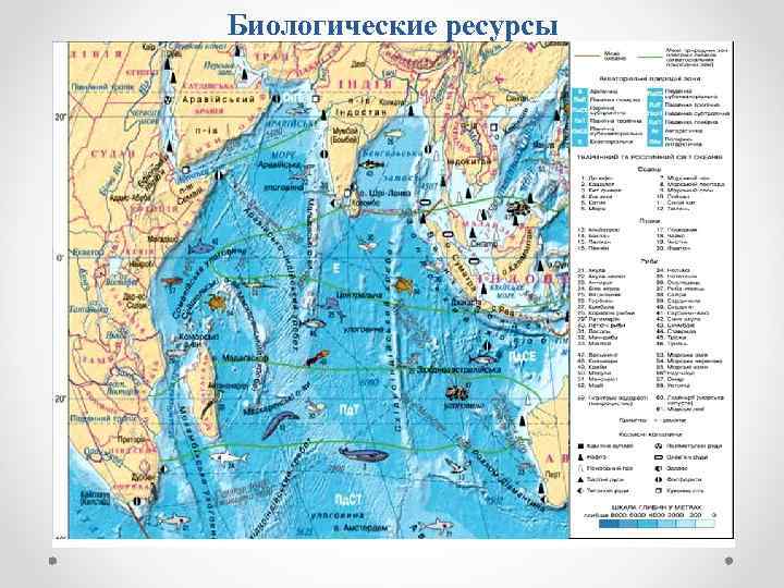 Природные ресурсы индийского океана кратко