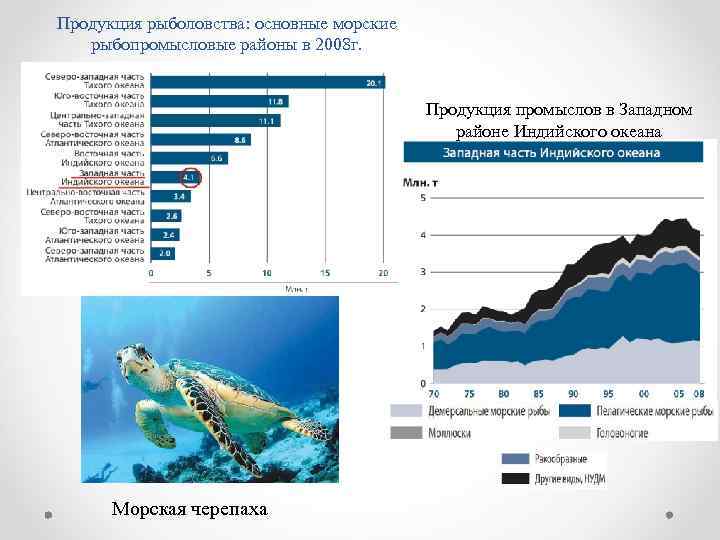 Жизнь в океане основные районы рыболовства