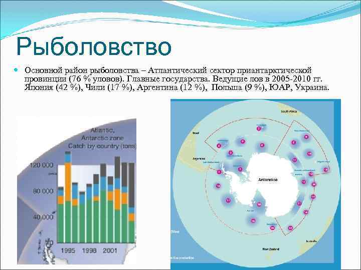 Рыболовство Основной район рыболовства – Атлантический сектор приантарктической провинции (76 % уловов). Главные государства.