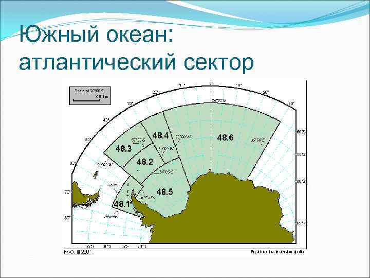 Южный океан: атлантический сектор 