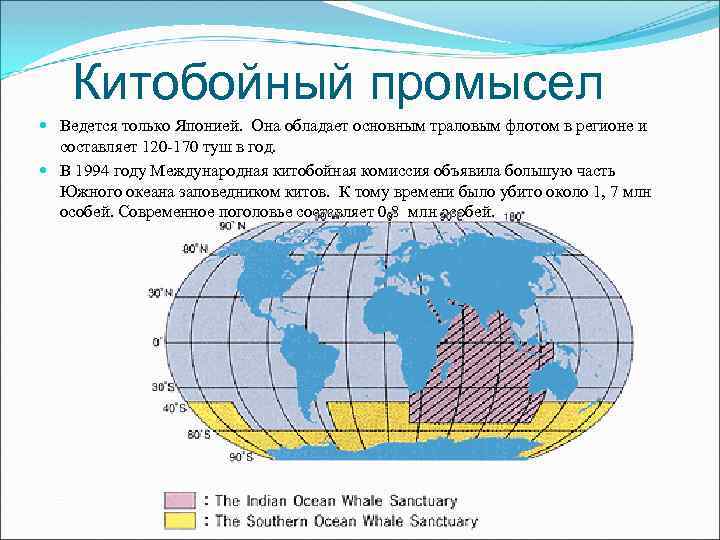 Китобойный промысел Ведется только Японией. Она обладает основным траловым флотом в регионе и составляет