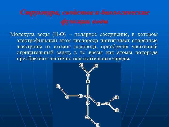 Структура, свойства и биологические функции воды Молекула воды (H 2 O) – полярное соединение,