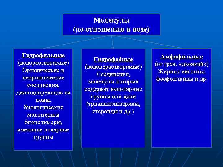 Молекулы (по отношению в воде) Гидрофильные (водорастворимые) Органические и неорганические соединения, диссоциирующие на ионы,