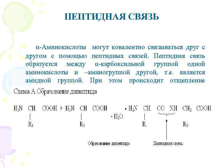 ПЕПТИДНАЯ СВЯЗЬ α-Аминокислоты могут ковалентно связываться друг с другом с помощью пептидных связей. Пептидная