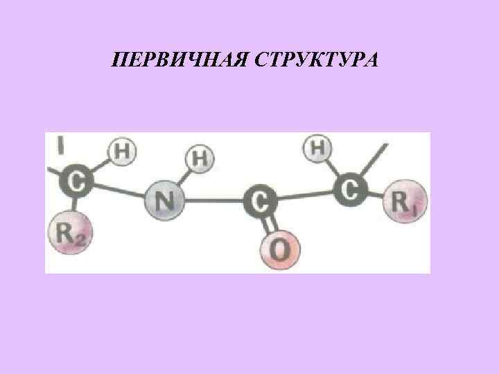 ПЕРВИЧНАЯ СТРУКТУРА 