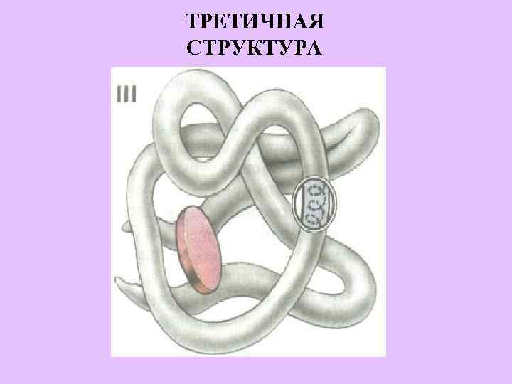 ТРЕТИЧНАЯ СТРУКТУРА 