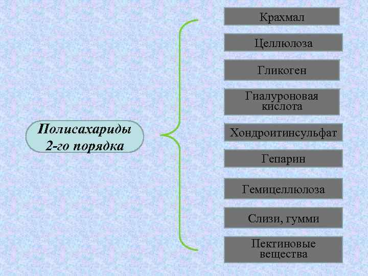 Крахмал Целлюлоза Гликоген Гиалуроновая кислота Полисахариды 2 -го порядка Хондроитинсульфат Гепарин Гемицеллюлоза Слизи, гумми