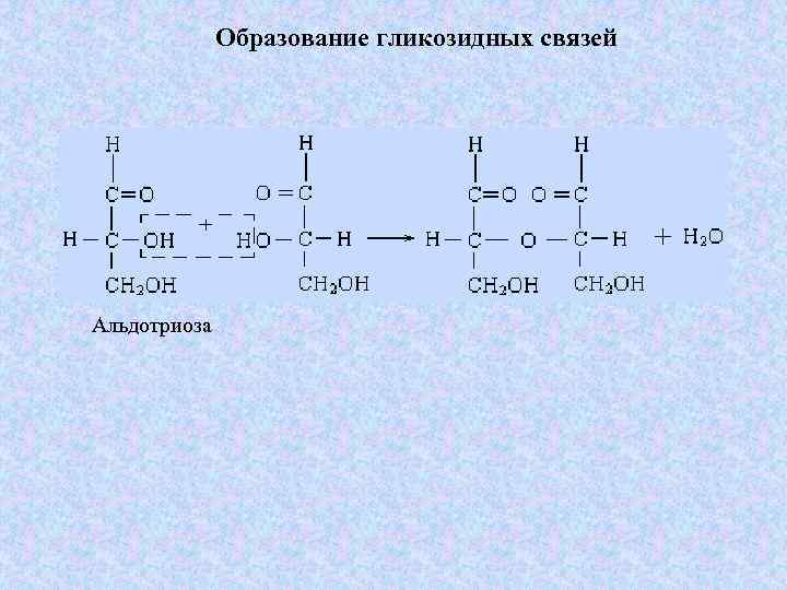 Образование гликозидных связей Альдотриоза 