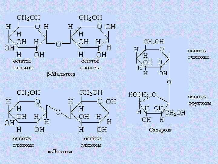 Химические свойства мальтозы