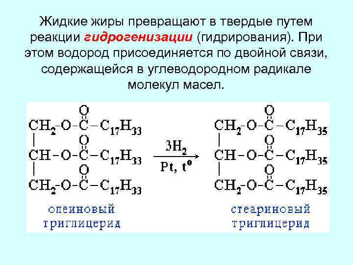 Нейтральные жиры небольшое количество