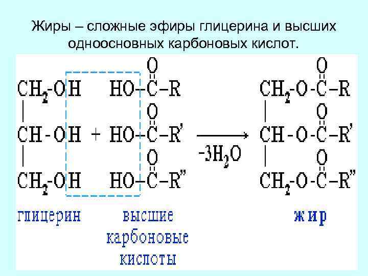 Сложные эфиры глицерина и высших карбоновых кислот. Жиры это сложные эфиры глицерина и высших.